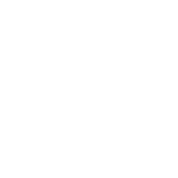 industrial robot